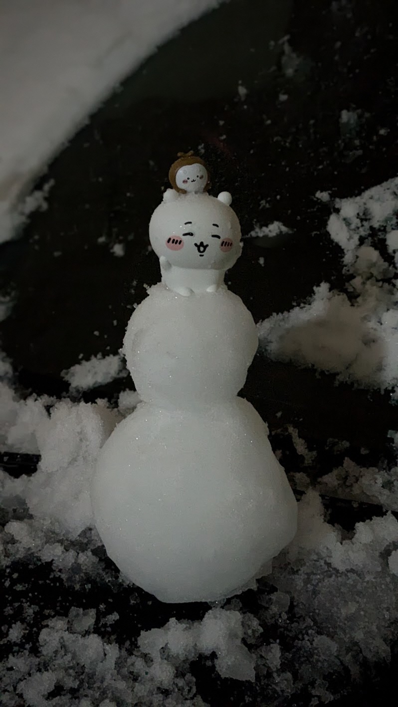 苦労したこと・していることの画像