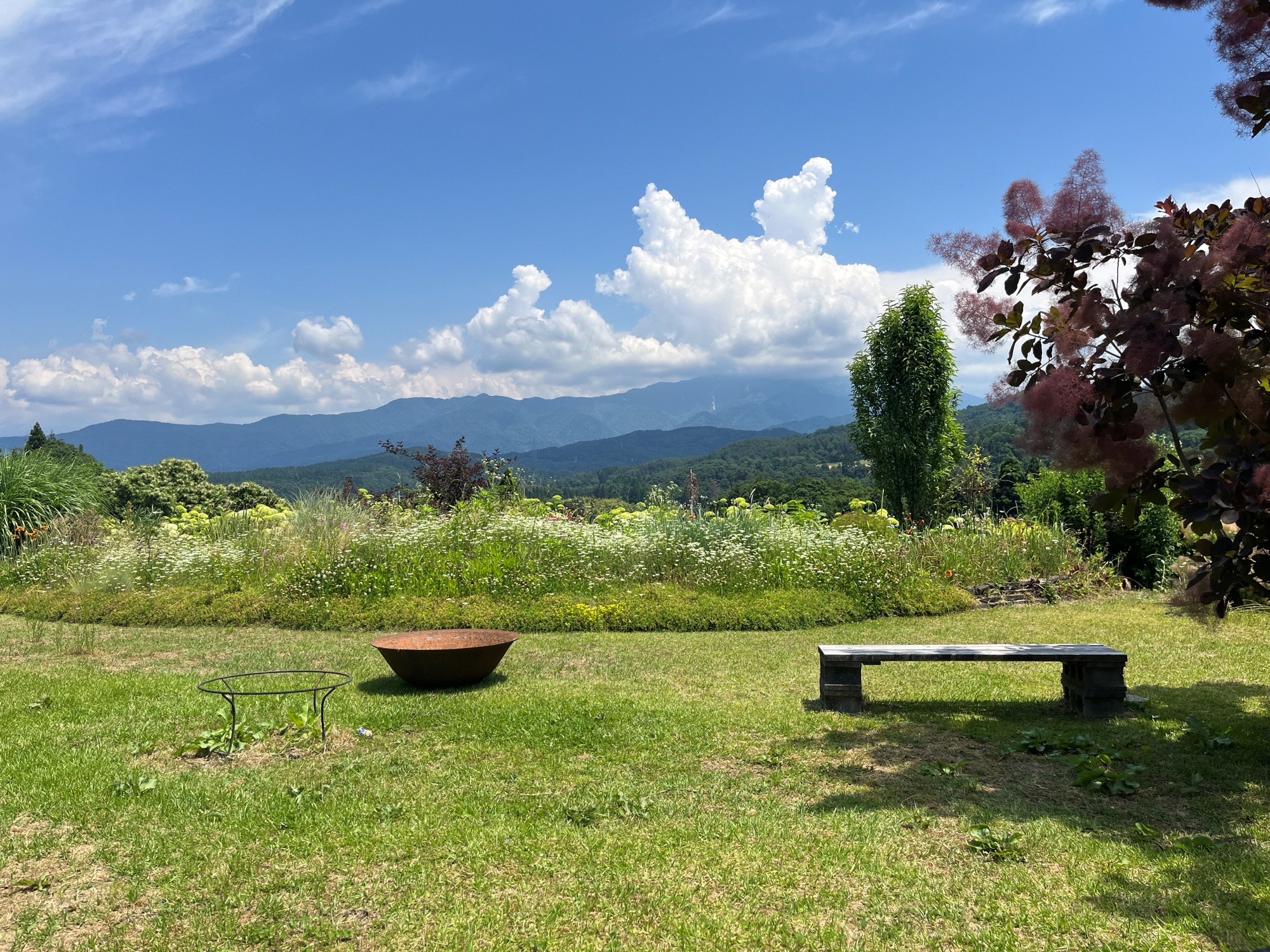 苦労したこと・していることの画像