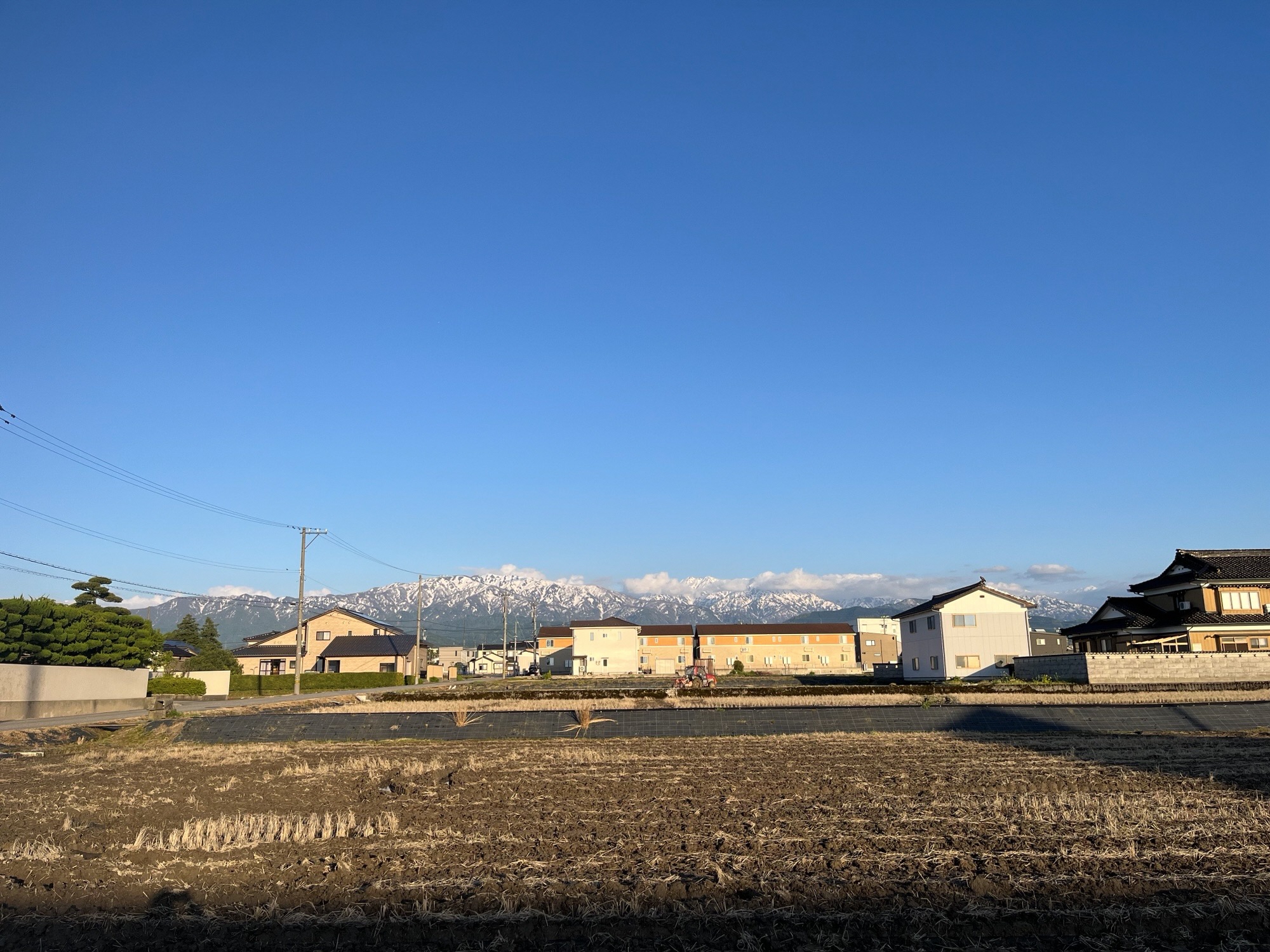 魚津に住み続けたいですか？の画像